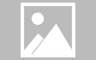 黑河网页设计英文默认字体（网页设置英文转换中文）